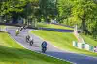 cadwell-no-limits-trackday;cadwell-park;cadwell-park-photographs;cadwell-trackday-photographs;enduro-digital-images;event-digital-images;eventdigitalimages;no-limits-trackdays;peter-wileman-photography;racing-digital-images;trackday-digital-images;trackday-photos